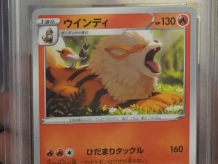 EG 9.5 | Arcanine (S-P 338) Sworld & Shield Promo Japonés Sale