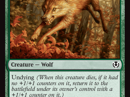 Young Wolf [Innistrad Remastered] For Cheap